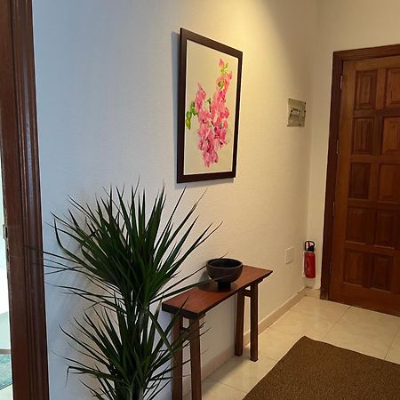 Cozy Apartment ซานตาครูซ เด เตเนริเฟ ภายนอก รูปภาพ