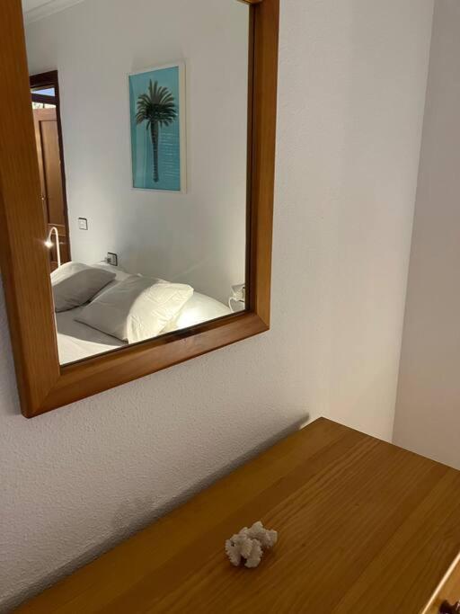 Cozy Apartment ซานตาครูซ เด เตเนริเฟ ภายนอก รูปภาพ