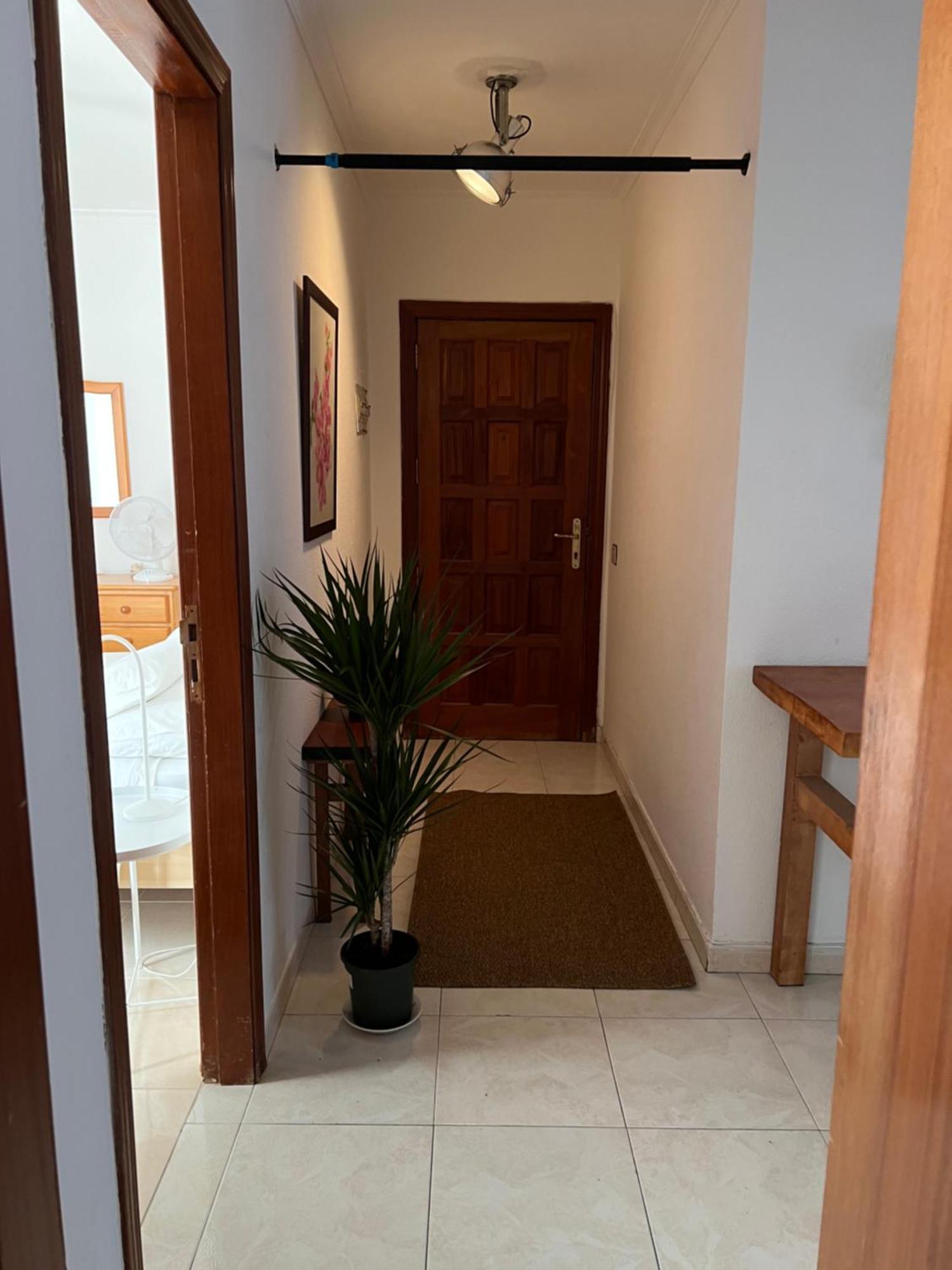 Cozy Apartment ซานตาครูซ เด เตเนริเฟ ภายนอก รูปภาพ